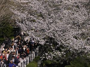 Populasi Jepang Makin Anjlok, Angka Kematian Lampaui Jumlah Bayi Baru Lahir Populasi Jepang Makin Anjlok, Angka Kematian Lampaui Jumlah Bayi Baru Lahir