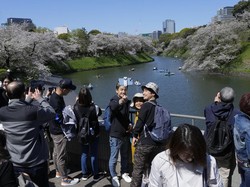 Kasusnya Lagi Ngegas di Jepang, Bisa Seserius Ini Infeksi Bakteri Pemakan Daging