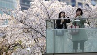 Ada Tren Pernikahan Baru di Jepang, Berkeluarga Tanpa Cinta dan Hasrat Seksual