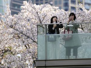 Kontroversi Pemerintah Jepang Bayar Wanita Ibu Kota untuk Nikahi Pria Desa Kontroversi Pemerintah Jepang Bayar Wanita Ibu Kota untuk Nikahi Pria Desa