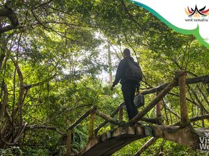 3 Rekomendasi Wisata di Pasaman, Wajib Dikunjungi!