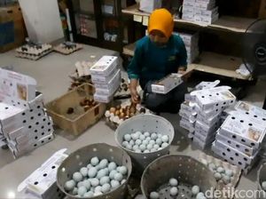 Semringahnya Penjual Oleh-oleh Telur Asin di Brebes Diserbu Saat Arus Balik Semringahnya Penjual Oleh-oleh Telur Asin di Brebes Diserbu Saat Arus Balik