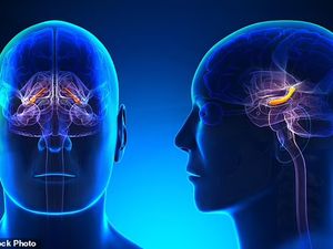 Ilmuwan Ungkap Kenapa Kita Lupa Beberapa Memori, Tapi Ingat yang Lain