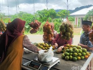 Berkah Penjual Jeruk Gerga Pagar Alam, Omzet Naik 300 Persen Selama Lebaran