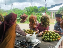 Berkah Penjual Jeruk Gerga Pagar Alam, Omzet Naik 300 Persen Selama Lebaran