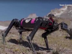 Melihat Ilmuwan Melatih Robot Anjing Spirit Simulasi Jalan di Bulan Melihat Ilmuwan Melatih Robot Anjing Spirit Simulasi Jalan di Bulan
