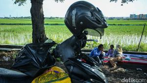 Sejenak Melepas Lelah Ditemani Hamparan Sawah Karawang