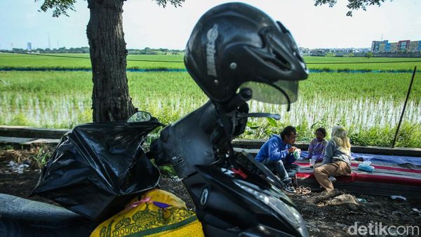 Sejenak Melepas Lelah Ditemani Hamparan Sawah Karawang