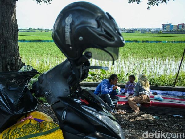 Sejenak Melepas Lelah Ditemani Hamparan Sawah Karawang