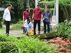 Libur Lebaran, Jokowi Ajak Cucu Mengenal Binatang di Deli Serdang