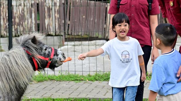 Jokowi berakhir pekan dengan mengajak ketiga cucunya wisata satwa di Deli Serdang, Sumut.