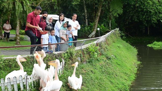 Jokowi berakhir pekan dengan mengajak ketiga cucunya wisata satwa di Deli Serdang, Sumut.