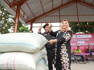 Tingkat Kepuasan Kinerja Bupati Sleman Tinggi, Jadi Modal Maju Pilbup 2024