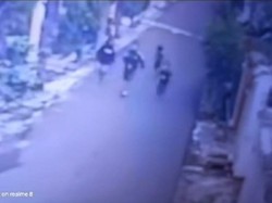 Sederet Fakta Kekejian 4 Pemuda Jember Siksa Anjing Maltese Lalu Tertawa