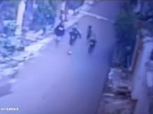 Kasus Penyiksaan Anjing Maltese di Jember Ditangani Unit PPA Kasus Penyiksaan Anjing Maltese di Jember Ditangani Unit PPA
