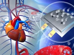 China Bikin Baterai yang Di-charge Tubuh Manusia