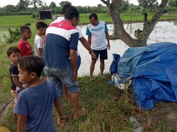 Petani Gresik Tewas Tersambar Petir Saat Panen Padi