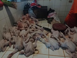 Harga Ayam Masih Mahal, Pedagang Ngaku Nombok!