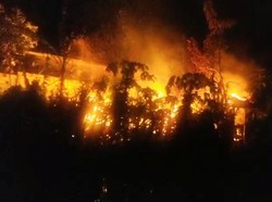 Kandang Terbakar di Karangasem, 2 Sapi dan Ayam Terpanggang