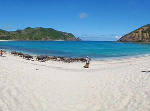 Destinasi Wisata Pantai Mawun di NTB: Daya Tarik hingga Rute Destinasi Wisata Pantai Mawun di NTB: Daya Tarik hingga Rute
