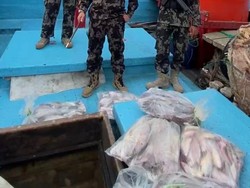 KKP Amankan Pelaku Alih Muatan dari Kapal Ikan Asing di Laut Arafura