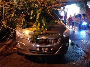 Pohon Tumbang gegara Hujan Deras Timpa 2 Mobil di Medan