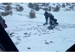 Momen Evakuasi Pasangan Lansia yang Hilang di Gunung Bersalju Chili