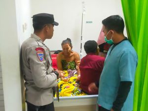 Tiga Warga Sembalun Diserang Babi Hutan di Kebun, Jari Putus Tiga Warga Sembalun Diserang Babi Hutan di Kebun, Jari Putus