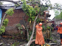 Kota Sukabumi Dikepung Pohon Tumbang