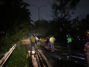 Pohon Tumbang Diangkat, Lalin Jalan Akses UI Arah Margonda Buka Kembali