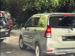 Ngeri, Pengunjung Taman Safari Buka Jendela Mobil di Kandang Singa