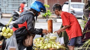 Cuan Penjual Janur yang Dagangannya Laris Manis Saat Lebaran Ketupat