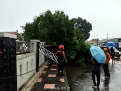 Hujan Deras Disertai Angin Kencang di Bogor, Pohon Tumbang Timpa Mobil-Rumah