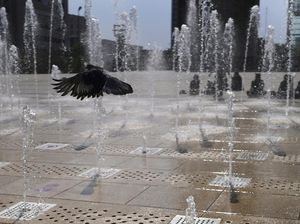 Gelombang Panas di Meksiko Bikin Warganya Kewalahan