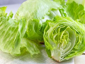 Ini Cara Simpan Lettuce Agar Tetap Segar dan Renyah Ini Cara Simpan Lettuce Agar Tetap Segar dan Renyah