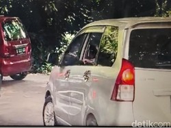 Duh! Wisatawan Nekat Buka Kaca Mobil di Area Singa Taman Safari Bogor