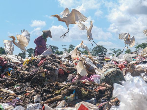 Usai Lebaran, Volume Sampah di Kendari Mencapai 270 Ton Per Hari