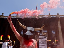 Aksi Aktivis Hewan di Kolombia Tuntut Pelarangan Adu Banteng
