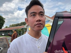 Pendukung Bakal Aksi di MK, Gibran: Monggo, Penting Tertib