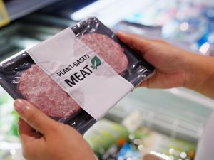 Apakah Makanan Vegan Sudah Pasti Dijamin Halal? Apakah Makanan Vegan Sudah Pasti Dijamin Halal?