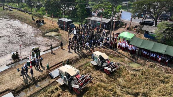 ID Food-Kostrad Lakukan Panen dan Penanaman Padi Tahap II di Lahan Strategis