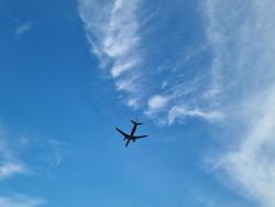 2 Pesawat Ringan Tabrakan di Kanada, 2 Orang Tewas