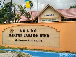 Bulog Akan Serap Jagung di Bima-Dompu, Cek Syarat dan Kuotanya!