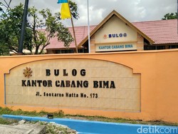 Bulog Akan Serap Jagung di Bima-Dompu, Cek Syarat dan Kuotanya!