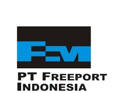 Awal Mula Freeport, Begini Kisah Pertama Kali Emas Ditemukan di Papua