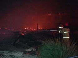 Kandang di Banyuwangi Terbakar, Puluhan Ribu Ayam Mati Terpanggang