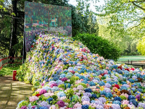 Bak Lukisan, Taman Ini Penuh dengan Bunga Warna-warni