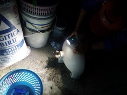 Petugas Damkar Kota Malang Evakuasi Kucing Nyangkut di Wastafel