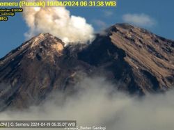 Gunung Semeru Erupsi 2 Kali Pagi Ini, Tinggi Letusan 500 Meter