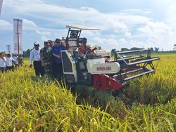 Mentan Luncurkan Benih Padi Tahan Perubahan Iklim dan Hemat Pupuk